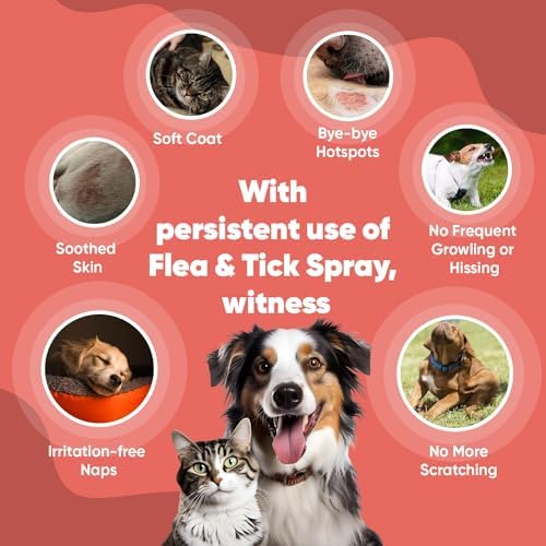Create a Safe Haven for Your Beloved Pets
